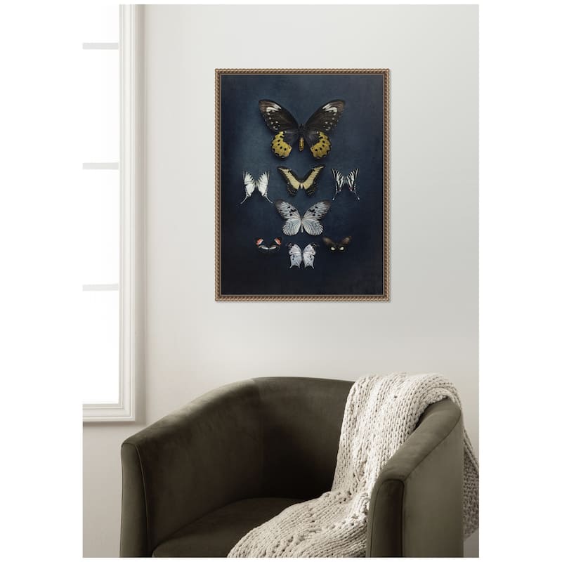 Kate and Laurel Butterfly Study Dark by Emiko and Mark Franzen F2 Images Framed Canvas Wall Art Print