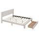 preview thumbnail 25 of 50, Gray Full Velvet Upholstered Bed with Large Storage Drawer - Luxurious Design