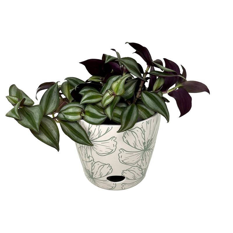 7" Round Self-Watering Indoor/Outdoor Bamboo Pots - Green Flower