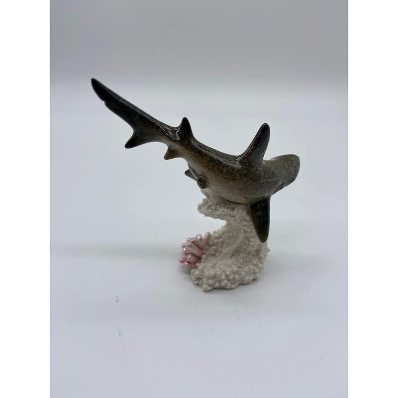 Shark over Coral (Set of 2)