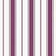 Option Purple/White