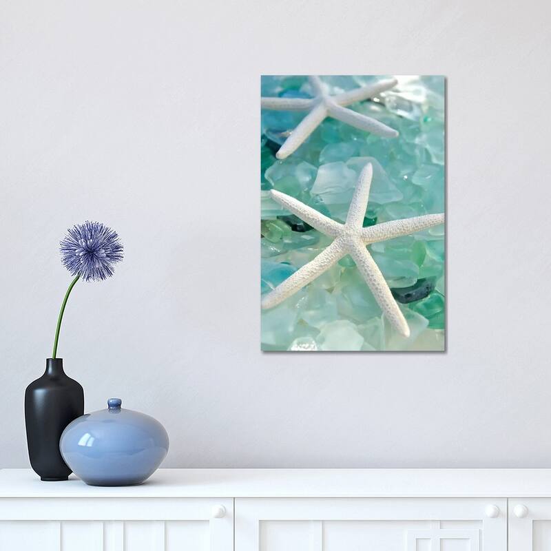 iCanvas "Seaglass 1" by Alan Blaustein Canvas Print - 18x12x1.5