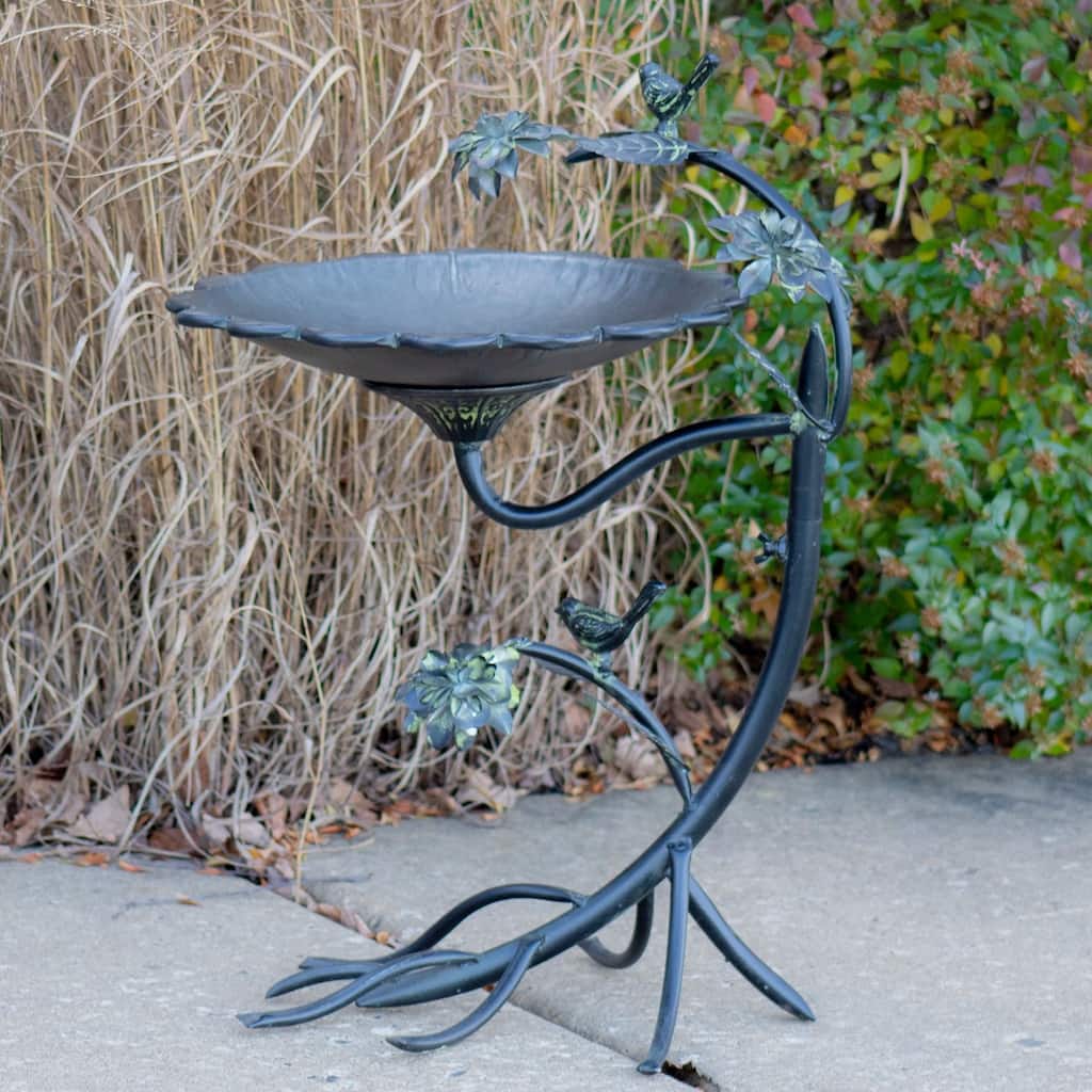 Scallop Edge Iron Birdbath with Branch Stand