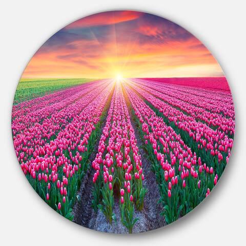 Designart 'Blooming Tulips at Sunrise' Photo Round Metal Wall Art
