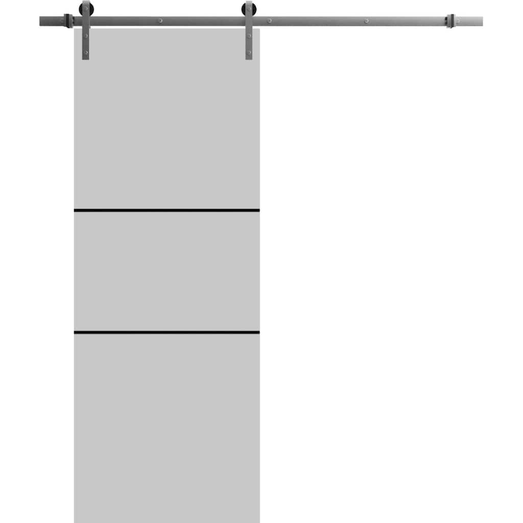 Sturdy Barn Door 36 x 80 Planum 0014 Grey Ash with 6.6FT