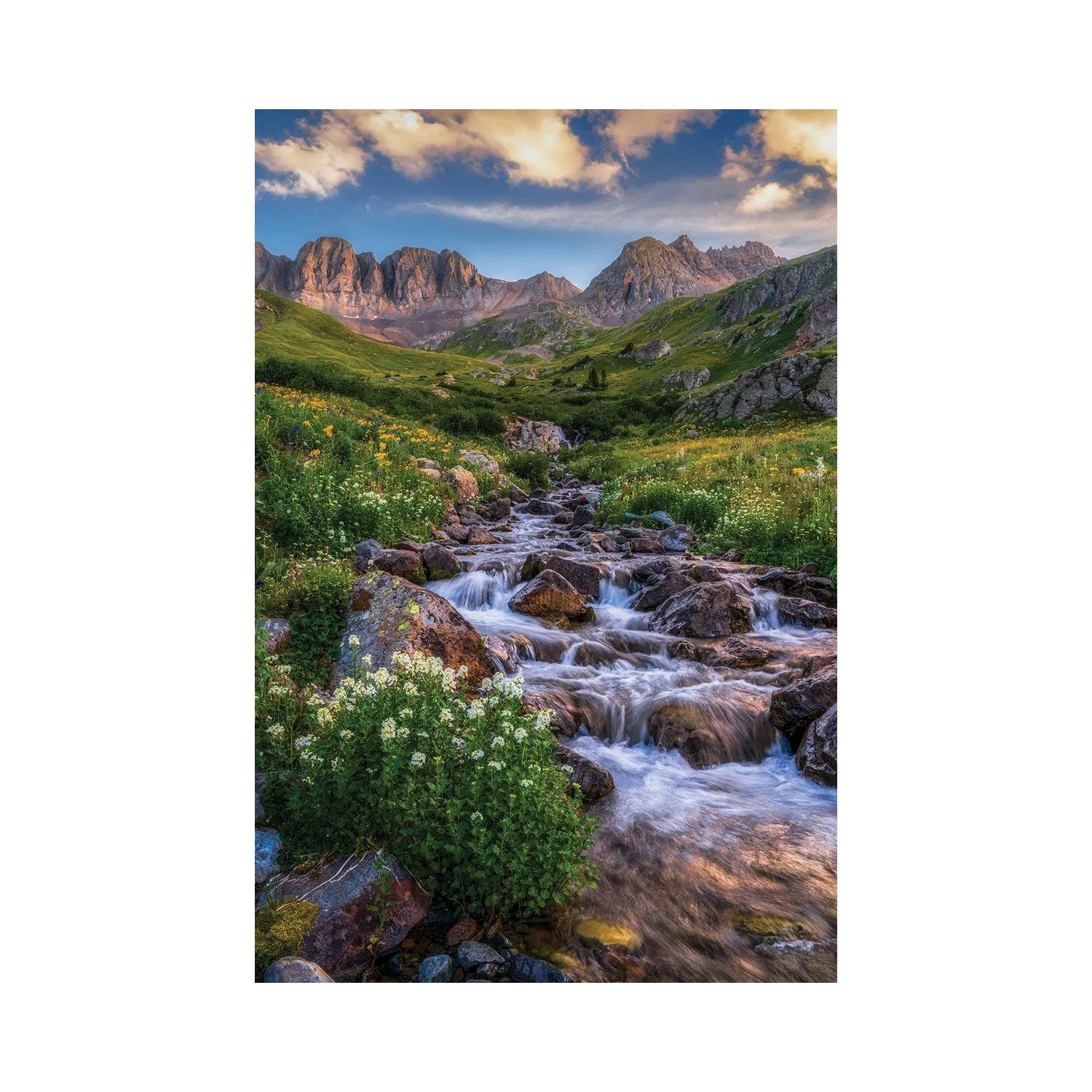 "Beautiful Creek Flowing American Basin - San Juan Mountains Colorado Summer Scenery" by Daniel Forster Canvas Print