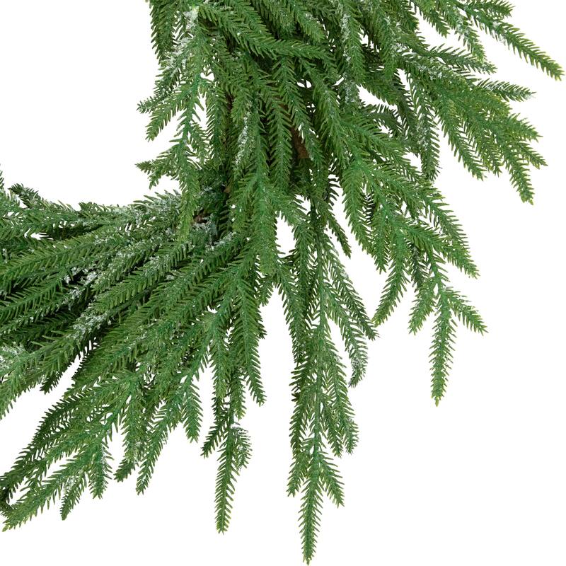 Frosted Norfolk Pine Artificial Christmas Wreath - 20" - Unlit