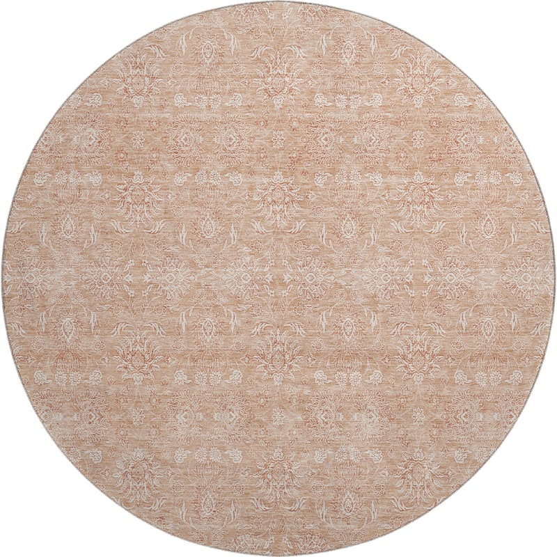 Premium Washable Super Soft Traditional Borderless Mayfield Rug