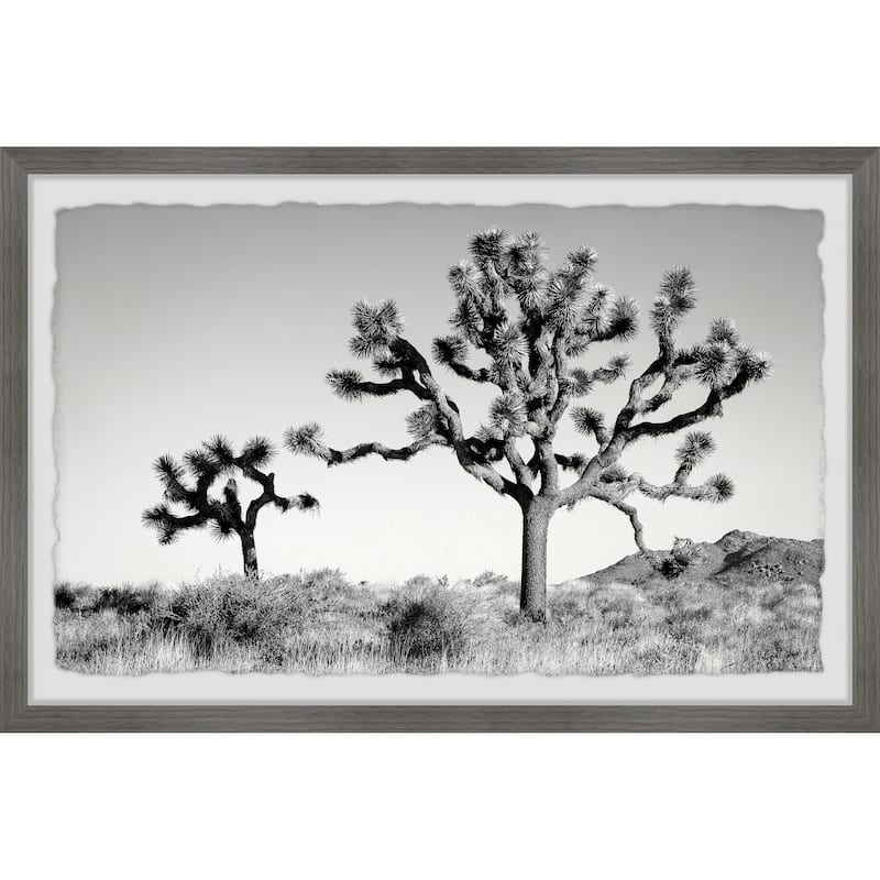 'Mountain Top Trees' Framed Painting Print
