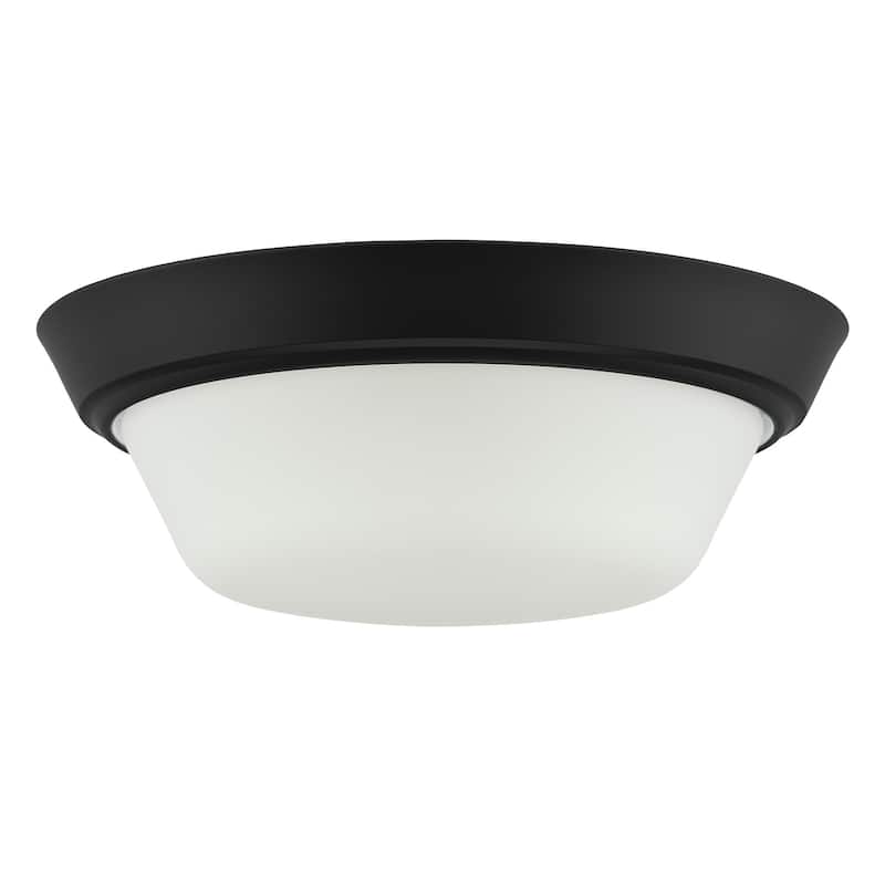 Progress Lighting P350303 Edessa 2 Light 13" Wide Flush Mount Bowl
