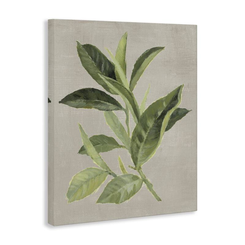 Stupell Green Tea Plant Leaf Canvas Wall Art Design By Lanie Loreth