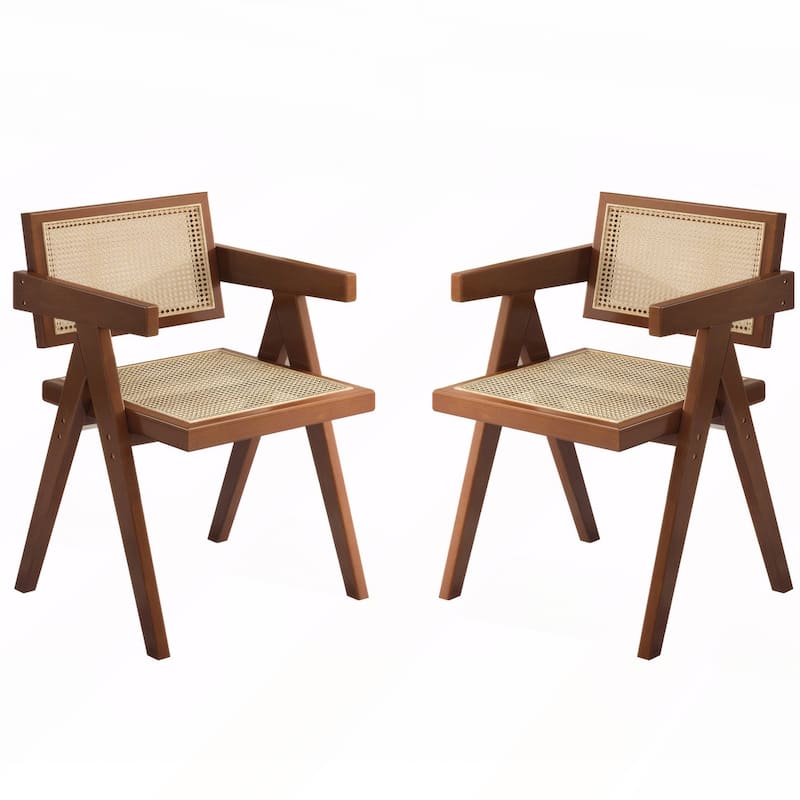 Modern Mid Century Dining Chairs Set of 2