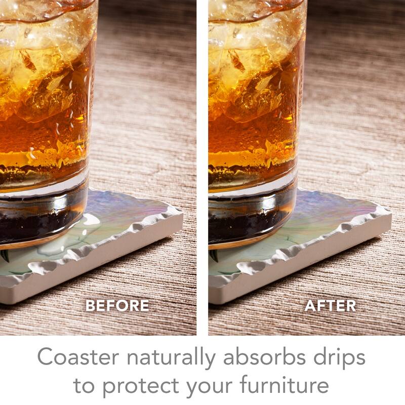 Counterart Absorbent Stone Coaster, Nature's Gift Of Feathers, Set of 4 - 4.02x4.06