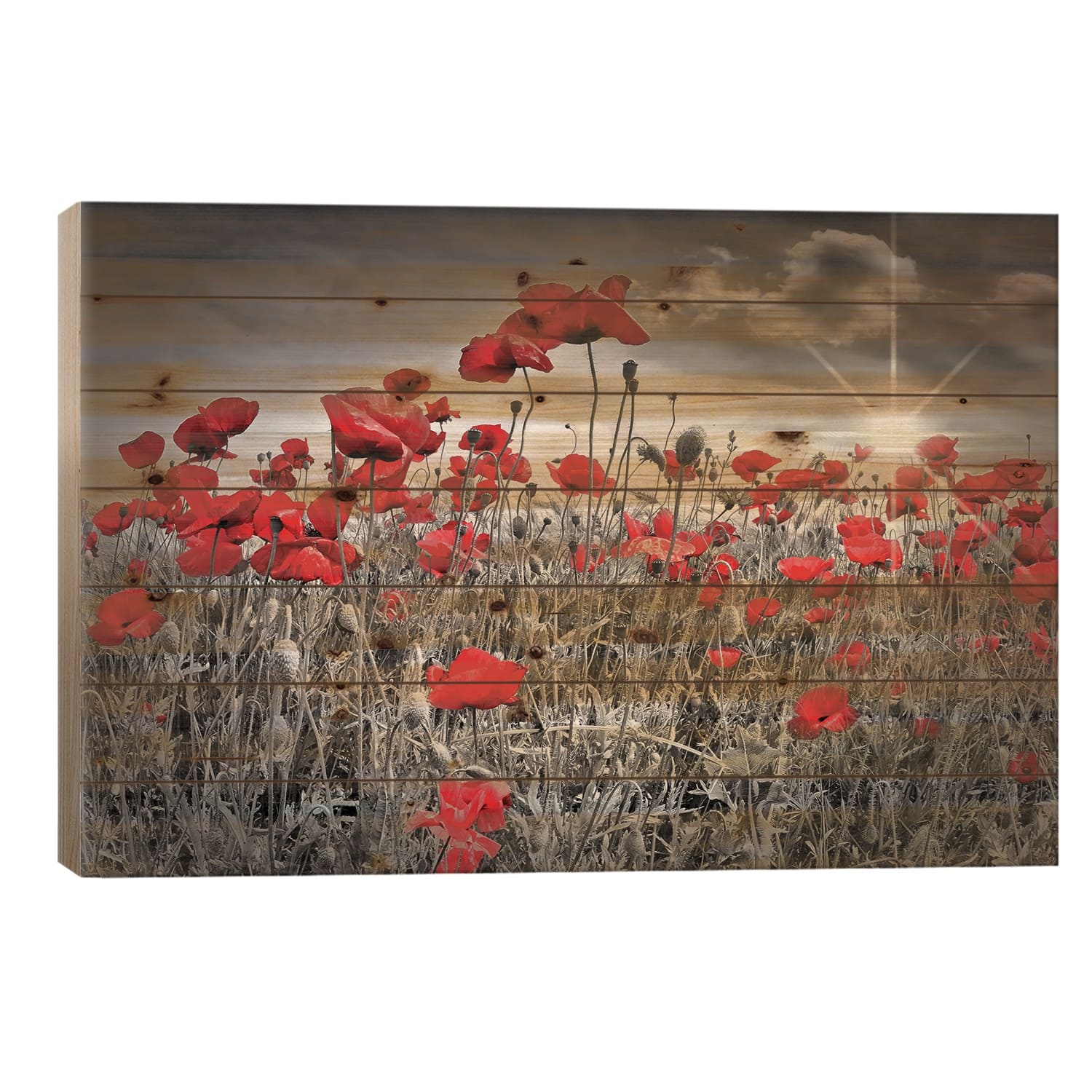 Idyllic Field Of Poppies With Sun Print On Wood by Melanie Viola ...