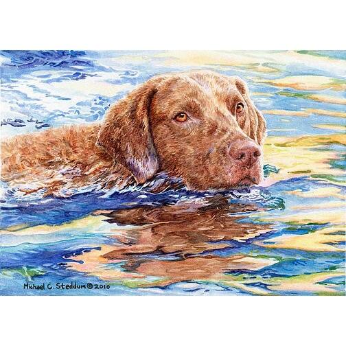 Shop Water Dog Chesapeake Bay Retriever Fridge Magnet Set Free