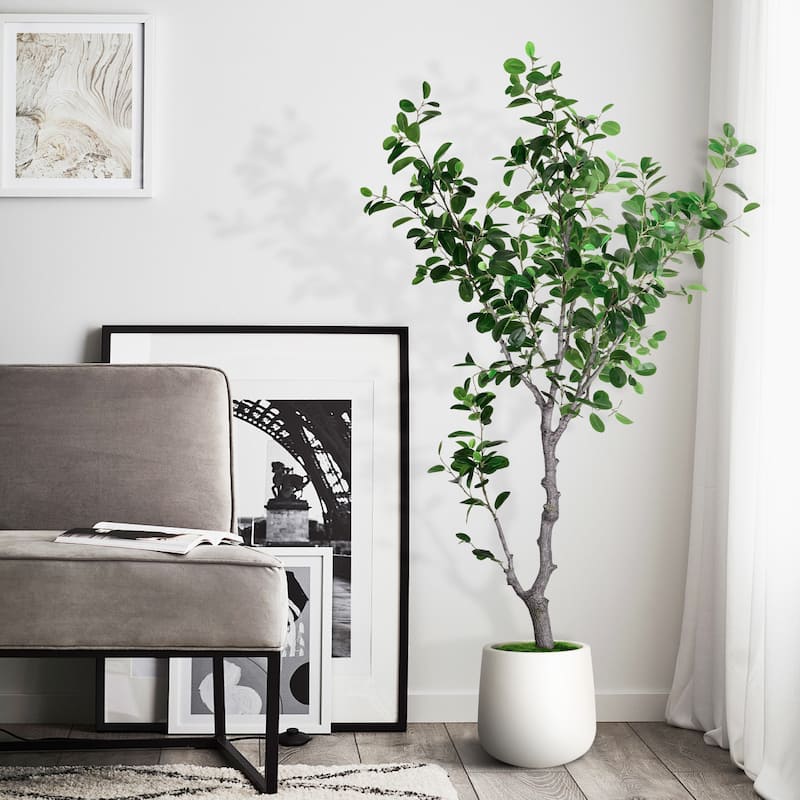 6 ft. Artificial East Ficus Tree in White Decor Pot - 31.5 in. W x 31.5 in. D x 72 in. H