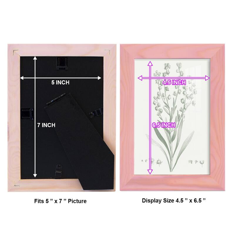 Botanical Study in Sage I -Framed Print w/glass-Cherry Red