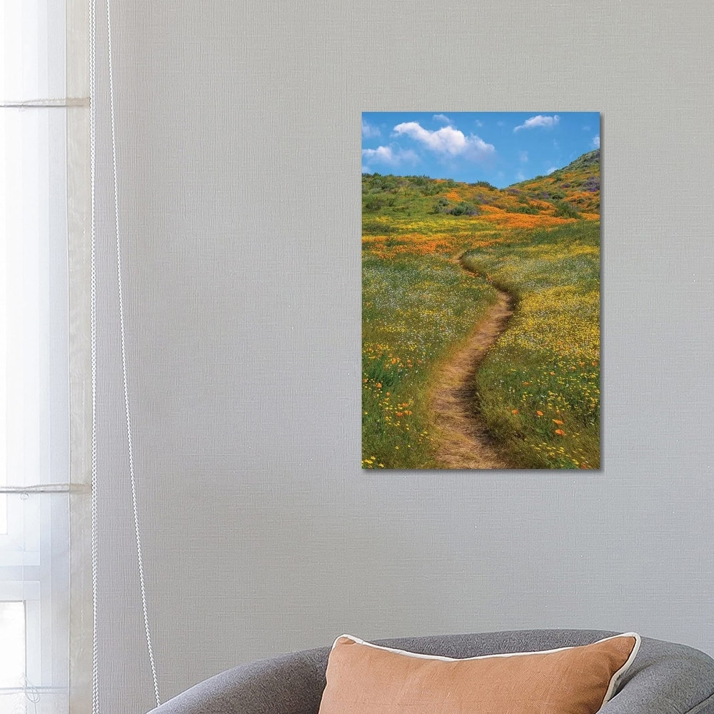 iCanvas "California Poppy, Desert Bluebell And Wildflower Spring Bloom, Diamond Valley Lake" by Tim Fitzharris Canvas Print