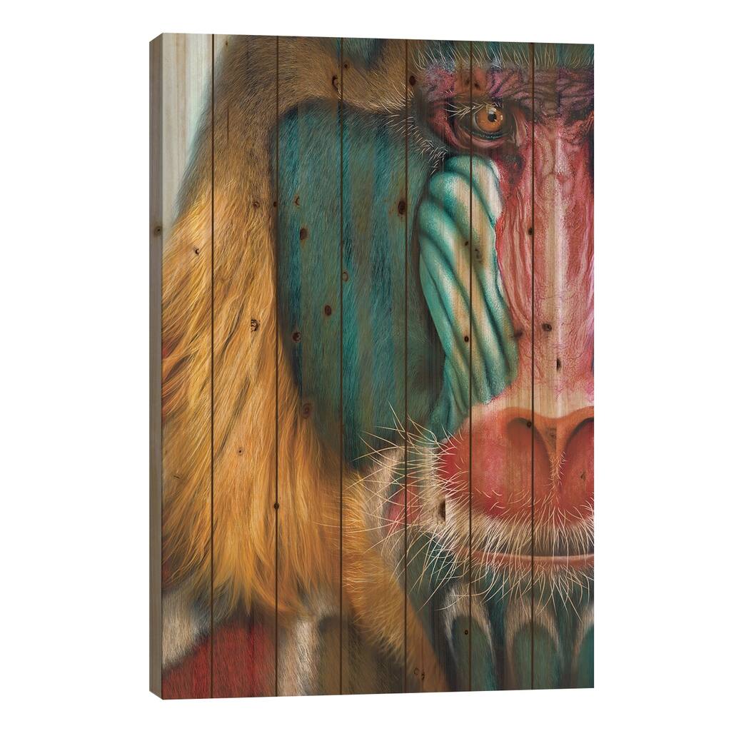 Mandrill Print On Wood by Giulio Rossi - Multi-Color
