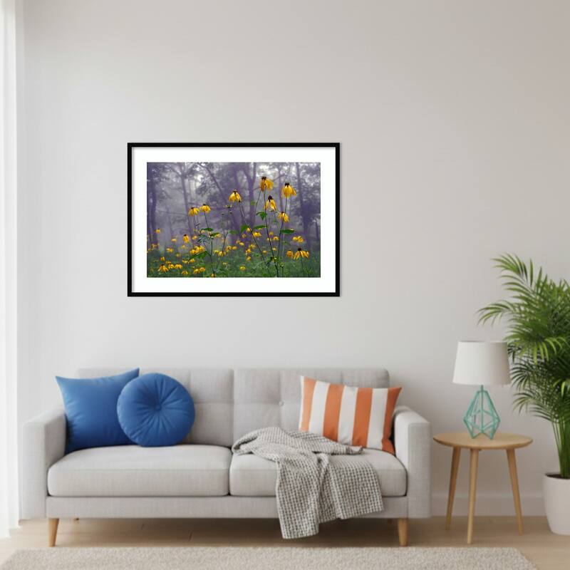 Coneflower by Kelly Sinclair Wood Framed Wall Art Print