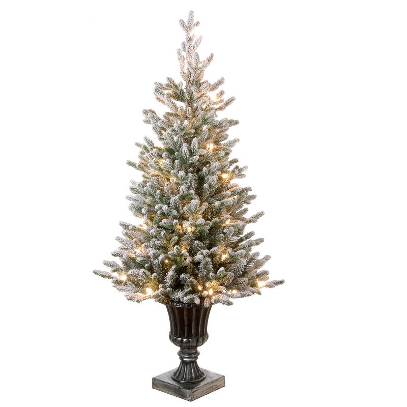 National Tree Company 4 ft. Iceland Fir Entrance Tree with Clear Lights - 4 Foot
