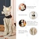 preview thumbnail 4 of 8, Glitzhome 20"H Halloween Lighted MGO Skeleton Dog Porch Decor with Timer