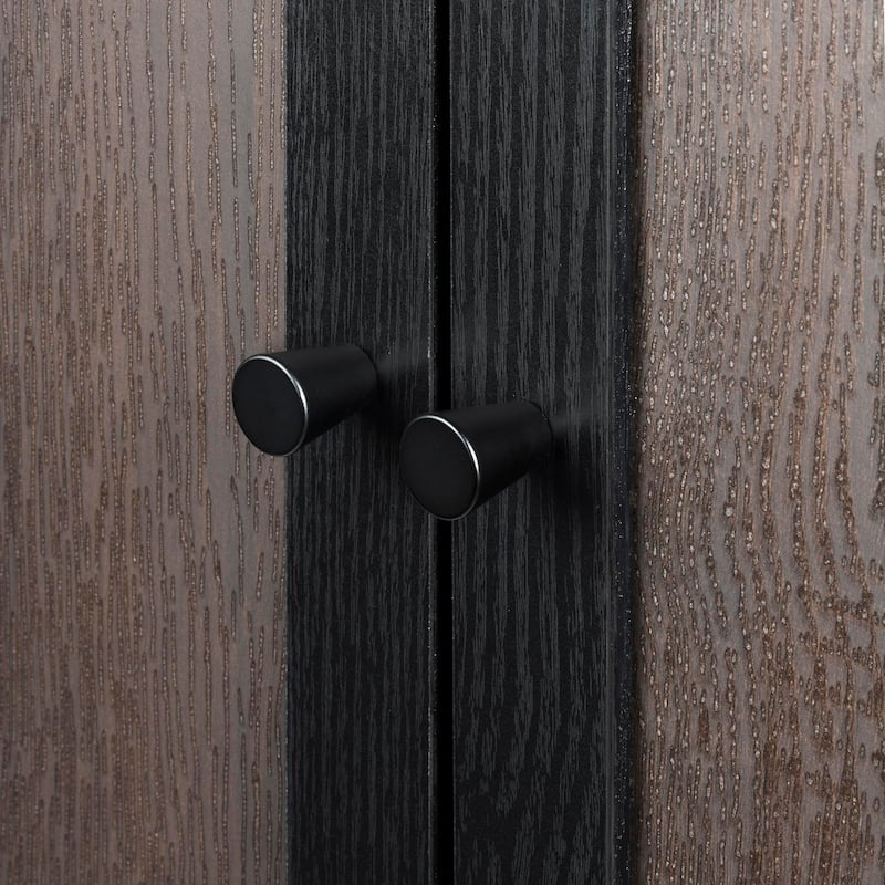 Sango Arch 2 Door Cabinet - Black, Stylish and Functional Storage