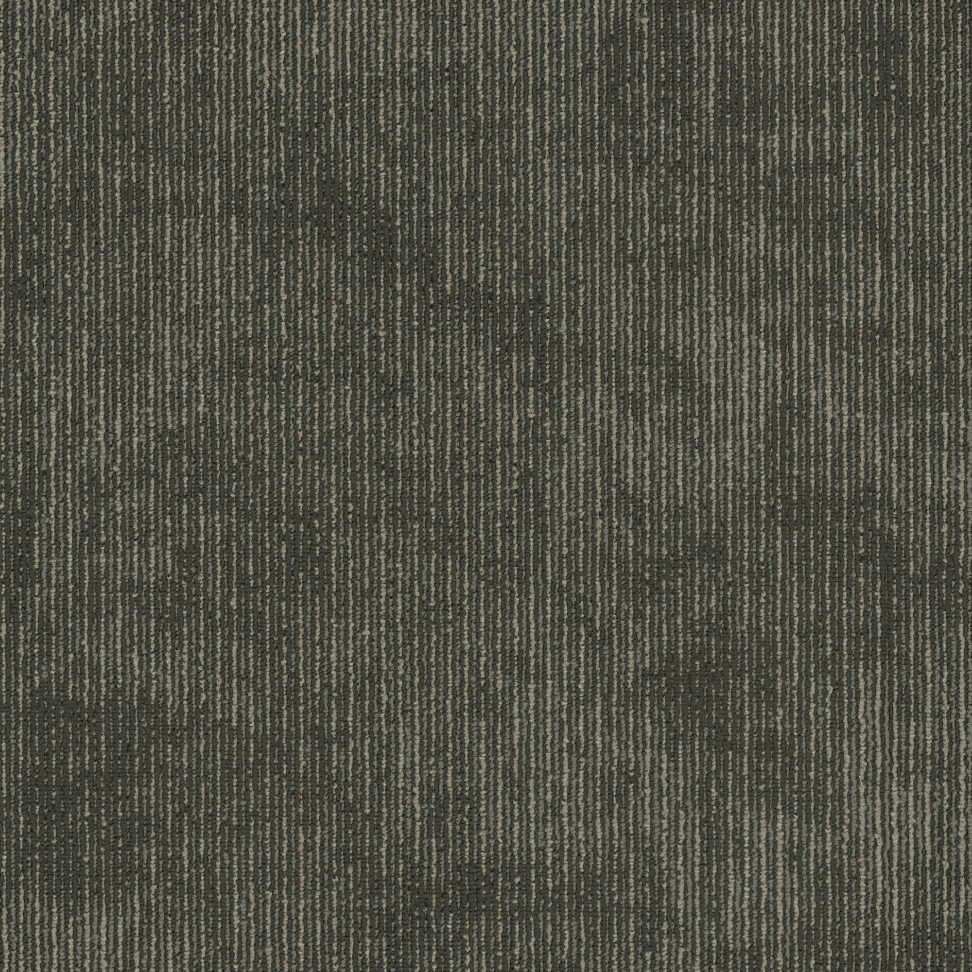 Shaw Philadelphia Commercial Biotic 24" x 24" Glue Down Carpet Tile -