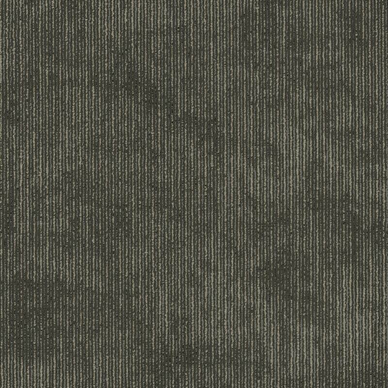 Shaw Philadelphia Commercial Biotic 24" x 24" Glue Down Carpet Tile - - Composition