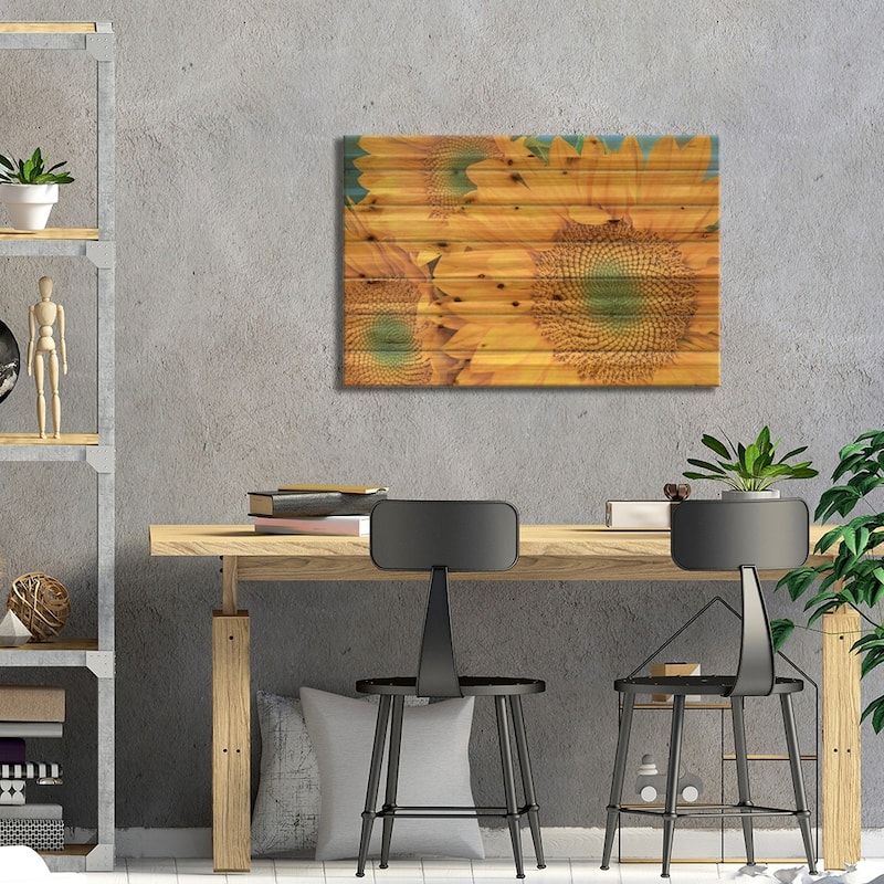 Common Sunflower Group Showing Symmetrical Seed Heads, North America II Print On Wood by Tim Fitzharris - Multi-Color