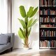 preview thumbnail 4 of 15, Enova Home Realistic Artificial Banana Tree in Nursery Pot for Indoor and Outdoor Decoration
