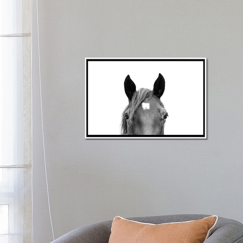 iCanvas "Peeking Horse In Black & White" by Sisi & Seb Framed Canvas Print