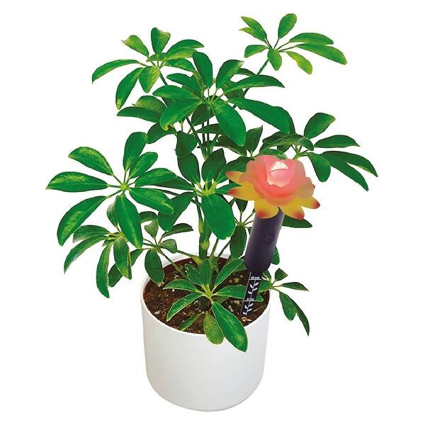Soil Moisture Sensor - Set of 2 Light-Up House Plant Water Meters - Multi -  Bed Bath & Beyond - 36135354