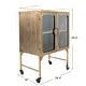 preview thumbnail 3 of 4, Metal Cabinet with Glass Doors and Wheels