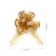 Option Champagne Gold