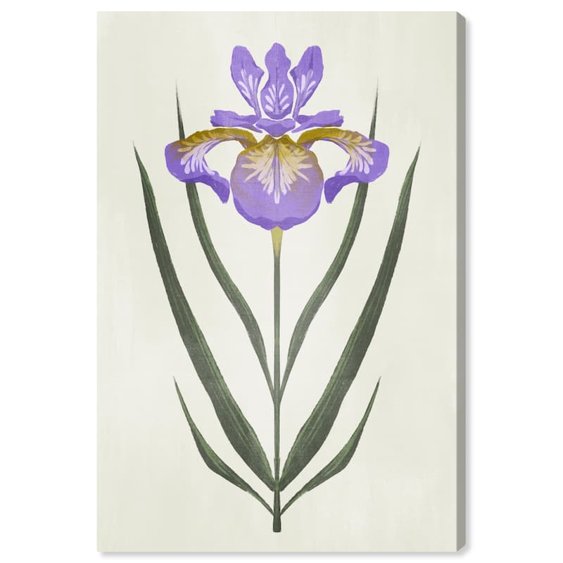 Wynwood Studio Canvas Floral and Botanical A Pretty Flower Purple and Dark Green Modern & Contemporary Wall Art Canvas Print
