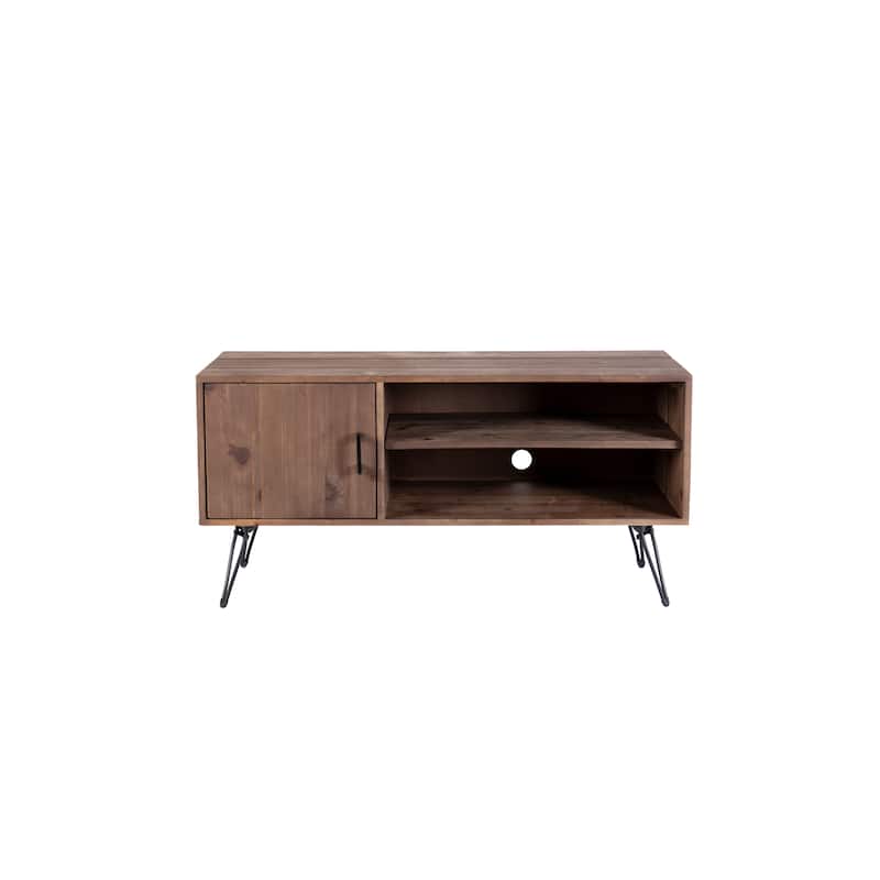 48" Modern TV Stand with Cabinet & Shelves