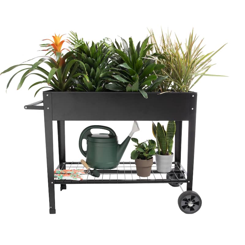 Raised Garden Bed - Planter Box with Storage Shelf by Pure Garden (Black)