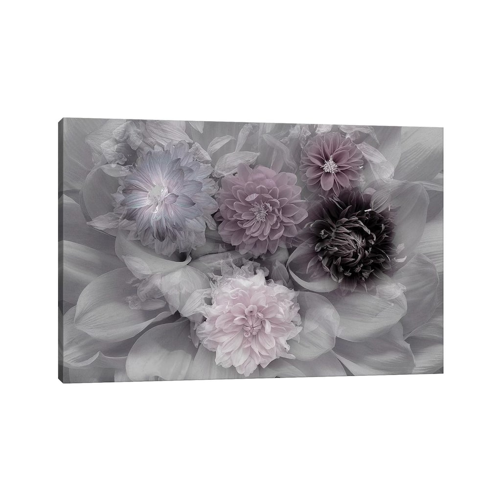 iCanvas "Dahlia Dream" by Inge Schuster Canvas Print