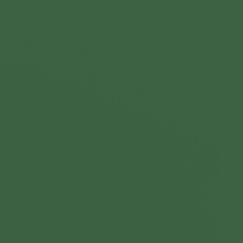 SAFAVIEH Zlatana 9 Ft Wooden Outdoor Umbrella