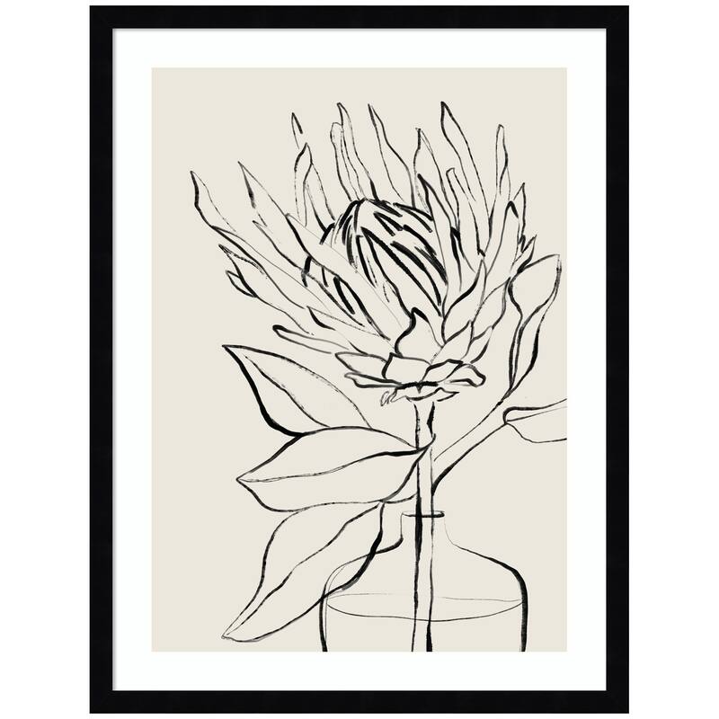 Kate and Laurel SB Protea Sketch No. 1 by Sara Berrenson Framed Wall Art Print - 19 x 25 - Black