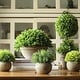 preview thumbnail 2 of 6, RusticReach Artificial Boxwood Topiary in Various Designs