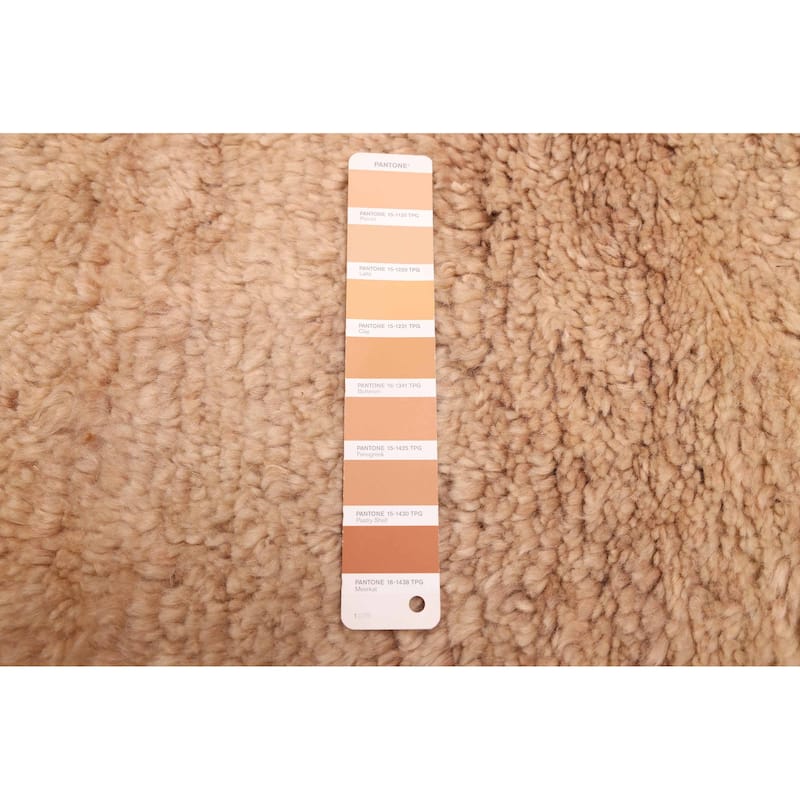 ECARPETGALLERY Hand-knotted Pak Finest Gabbeh Tan Wool Rug - 10'5 x 13'5