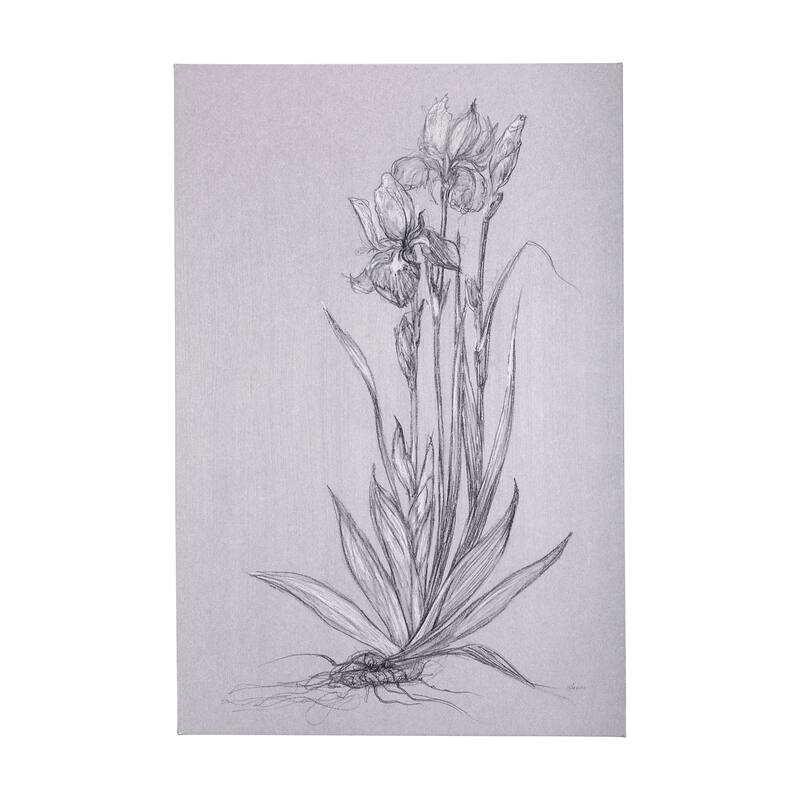Botanical Sketches IV (Grey) (40 x 60) Canvas Art Print - Large