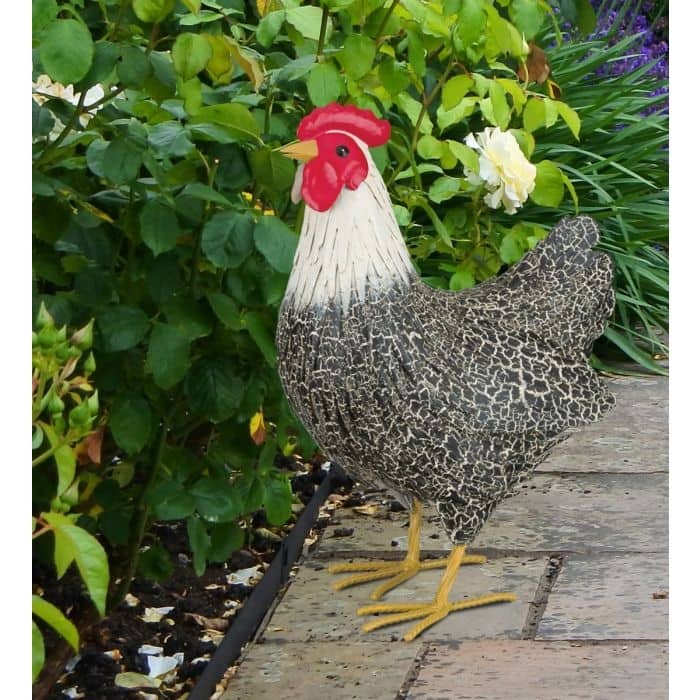 Murray Hen Decor