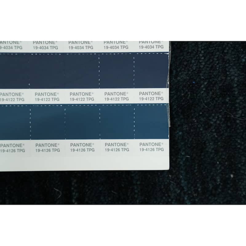 Hand Knotted Oriental 100% Wool Carpet Tribal Animal Pictorial Navy Blue & Blues Gabbeh Area Rug - 8' 10'' X 9' 0''