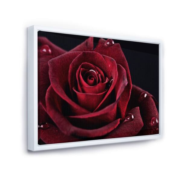 Shop Designart Red Rose With Raindrops On Black Flowers Framed Canvas Wall Artwork Overstock 18959099