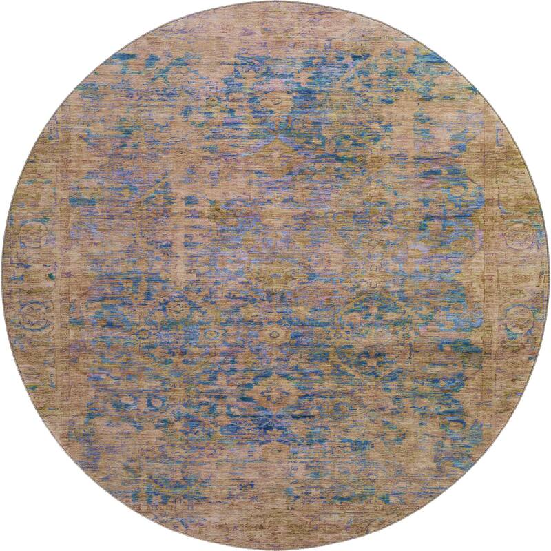 Premium Washable Super Soft Vintage Traditional Mayfield Rug