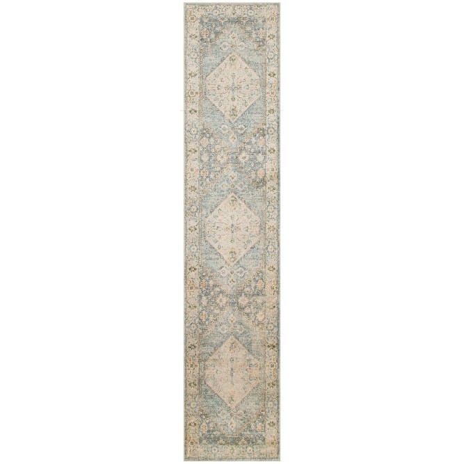 Nourison Abby Machine Washable Indoor only Persian Distressed Area Rug