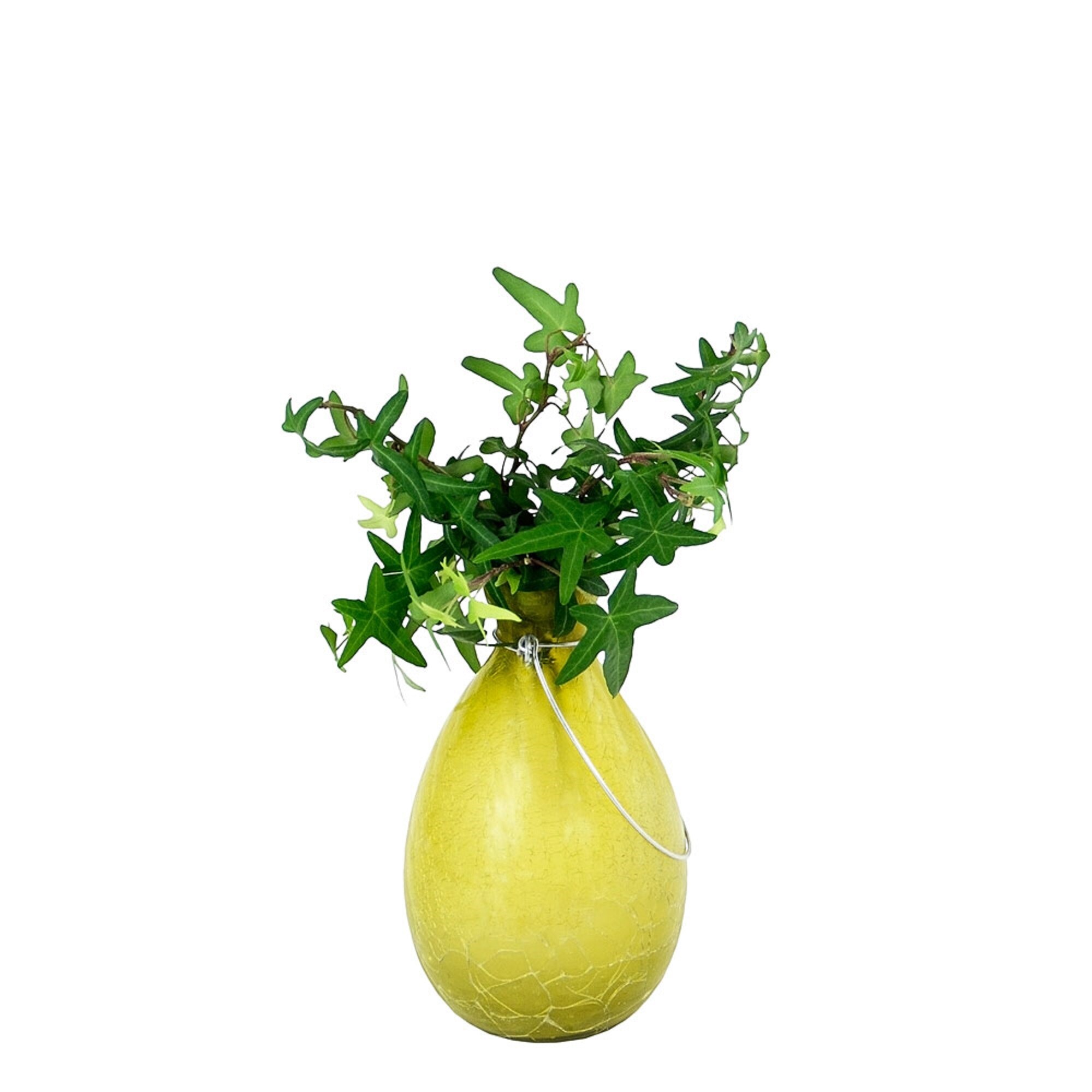 product-thumb